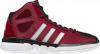Adidas Pro Model