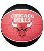 NBA Team bal Chicago Bulls
