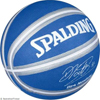 Spalding Teamball Dirk Nowitzki